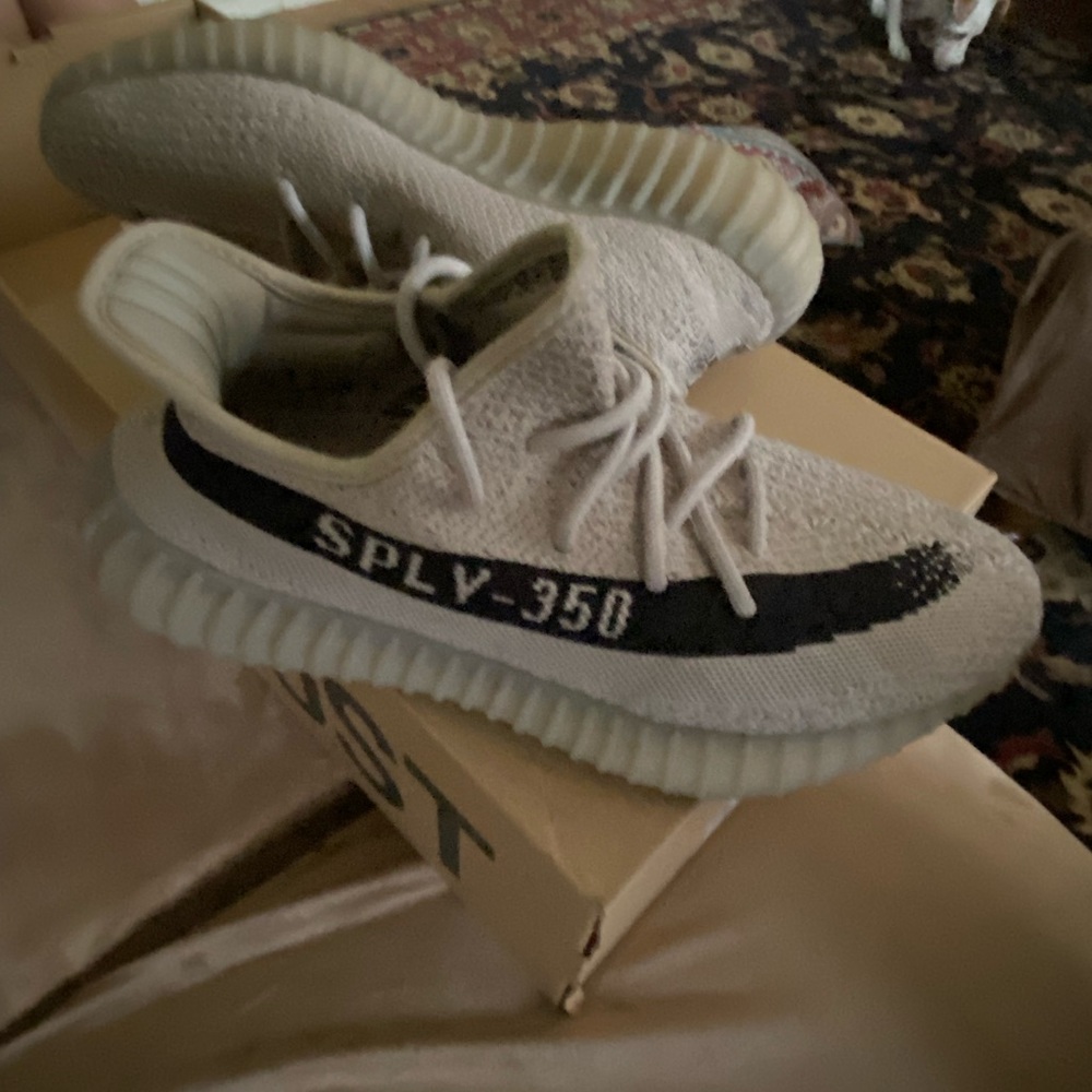 yzy 350
